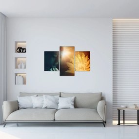 Tablou - Pace (90x60 cm)