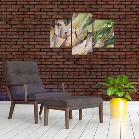 Tablou cu veverița în copaci (90x60 cm)