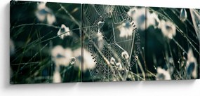 Tablou - Pânză de păianjen (cu ceas) (90x30 cm)