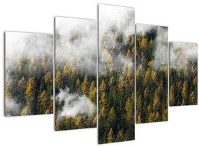 Tablou - Pădure în nori (150x105 cm)