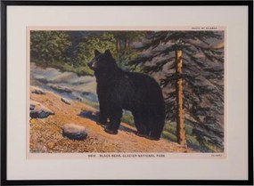 Tablou decorativ, cu rama din rasina, Bear Postcard