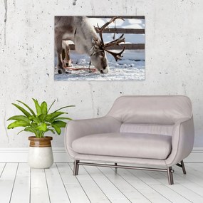 Tablou - Sâmbătă (70x50 cm)