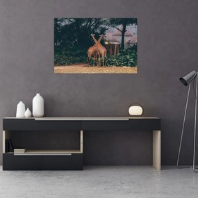 Tablou cu două girafe (90x60 cm)