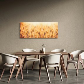 Tablou - câmp cu grâne (120x50 cm)