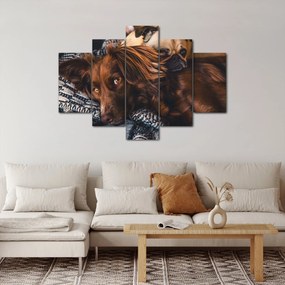 Tablou cu câini dormind (150x105 cm)