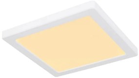 Plafonieră LED LASSE LED/18W/230V 3000/4000/6500K albă Globo 12380-18W