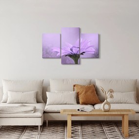 Tablou - Flori mov (90x60 cm)