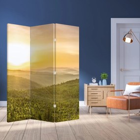 Paravan - Panorama (126x170 cm)
