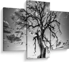 Tablou - Copacul, alb-negru (90x60 cm)
