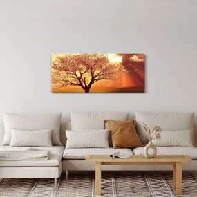 Tablou cu razele lui Dumnezeu (120x50 cm)