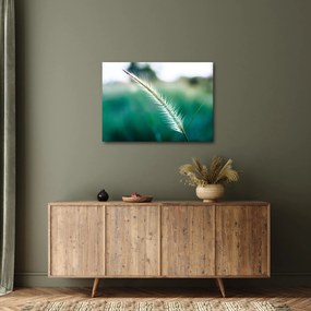 Tablou cu fir de iarbă (70x50 cm)