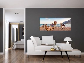Tablou cu cămile (120x50 cm)