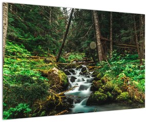 Tablou cu pârău în pădure (90x60 cm)