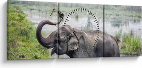 Tablou - Elefant de scăldat (cu ceas) (90x30 cm)
