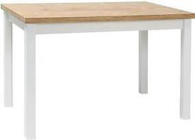 Masa ADAM, stejar/alb, 120x68x75 cm