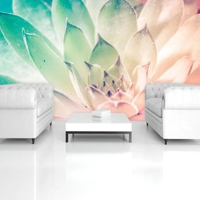 Fototapet - Floare de lotus (254x184 cm)