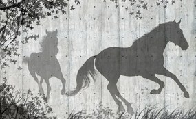Fototapet - Umbrele de cai pe perete gri (152,5x104 cm), în 8 de alte dimensiuni noi