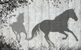 Fototapet - Umbrele de cai pe perete gri (152,5x104 cm)