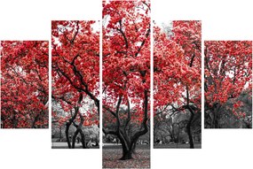 Tablou - Copacii roșii, Central Park, New York (150x105 cm)