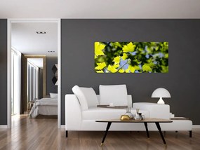 Tablou - frunze de arțar (120x50 cm)