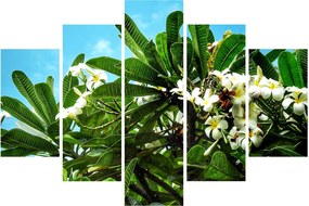 Tablou - Plumeria (150x105 cm)