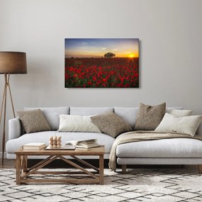 Tablou cu lunca și macii (90x60 cm)