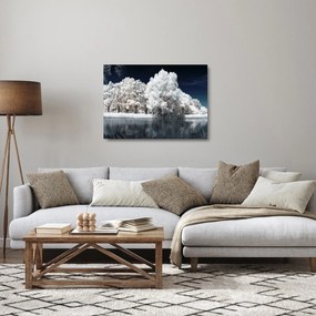 Tablou pe sticlă - Albă ca Zăpada Albă ca Zăpada Copaci (70x50 cm)
