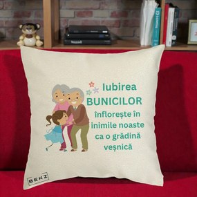 Cadou pentru Bunici - Perna Personalizata Bunicii Iubirea Infloreste cu Nepoata Teal, 40x40 cm, Ecru, Husa Detasabila, Perna Inclusa, BEKZ®