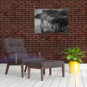 Tablou pe sticlă cu elefanți - albnegru (70x50 cm)
