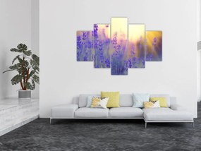 Tablou - Levănțică (150x105 cm)