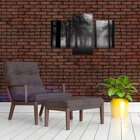 Tablou - Pădure în ceață (90x60 cm)