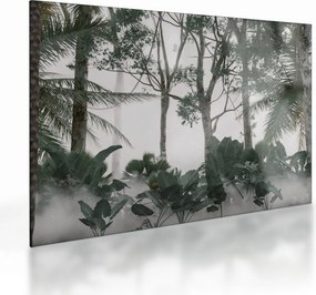 Tablou pe sticlă - Jungla în ceața dimineții (70x50 cm)