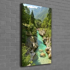 Tablou pe pânză canvas Branhii