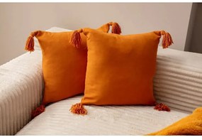 Fețe de pernă 2 buc. 43x43 cm Puskul – Mioli Decor