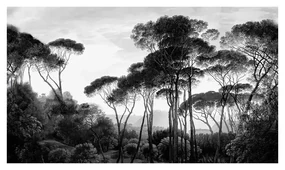 Tapet VLAdiLA Taormina Pines 520 x 300 cm