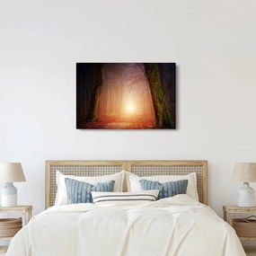 Tablou cu pădurea toamna în ceață (90x60 cm)