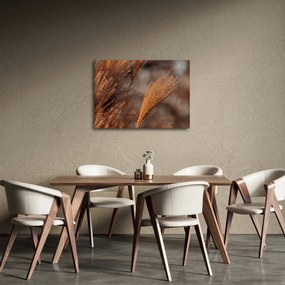 Tablou - Cortaderie (70x50 cm)