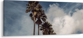 Tablou - Drama cu palmieri (120x50 cm)