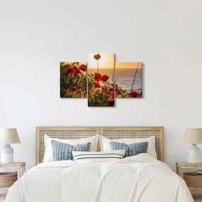 Tablou cu apus de soare cu flori de maci (90x60 cm)