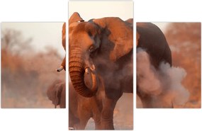 Tablou - Marele elefant african (90x60 cm)