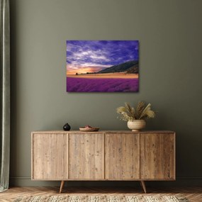 Tablou cu lunca cu lavandă (70x50 cm)