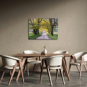 Tablou - Smoky Mountains, Gatlinburg, SUA (70x50 cm)