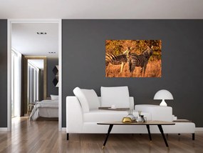 Tablou cu zebre (90x60 cm)