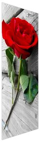 Fotojaluzele R013400R57150 (57x150 cm)