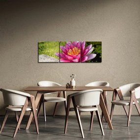 Tablou - Lotus (cu ceas) (90x30 cm)