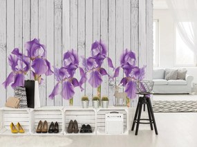 Fototapet - Iris pe scănduri de lemn (254x184 cm)