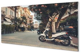 Tablouri pe sticlă Motociclete urbane de palmier de vară