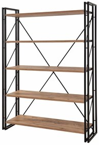 Raft Cosmo Fix Black and Atlantic Pine, L