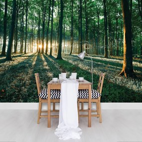 Fototapet - Pădure (254x184 cm)