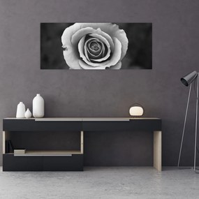 Tablou - Trandafir (120x50 cm)